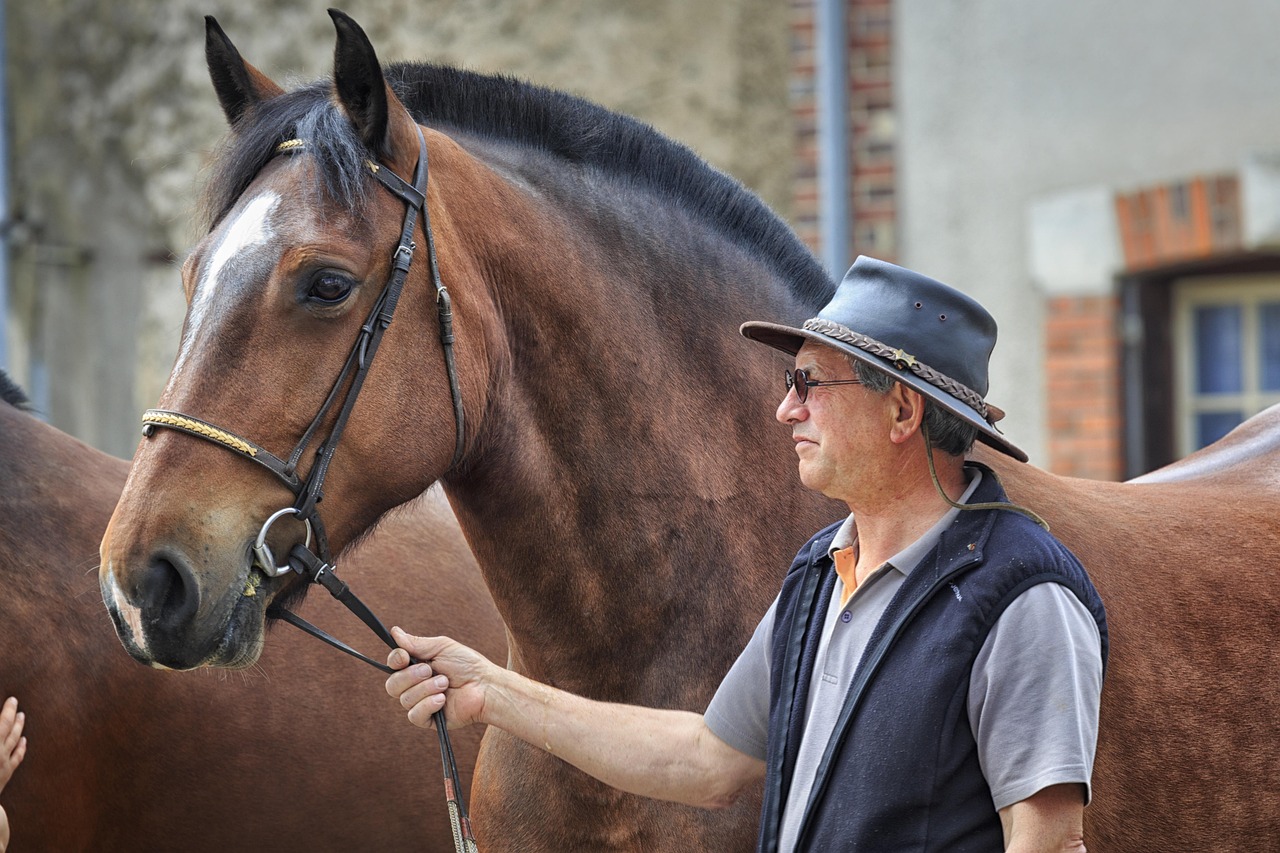RB-Agrodag Paardenhouderij: Fiscale regels en wetgeving